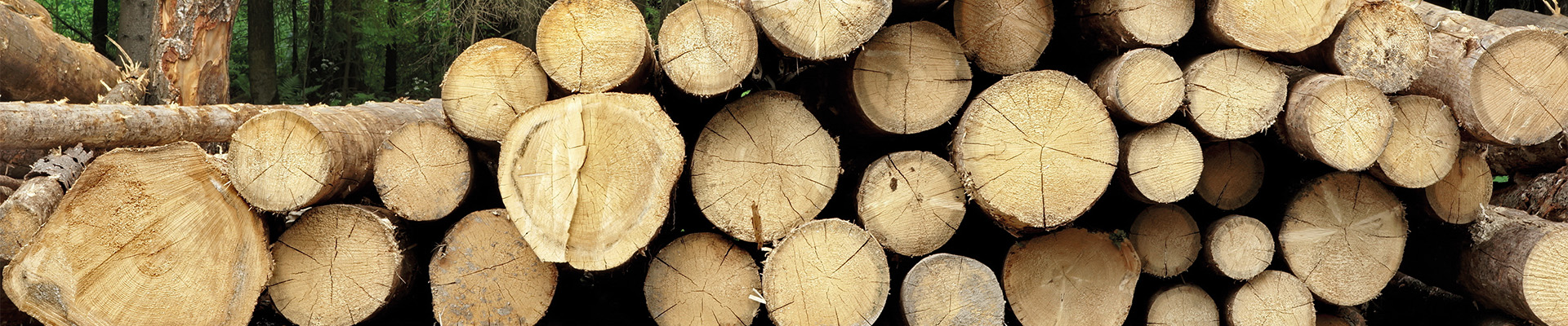 Estimer sa consommation de bois